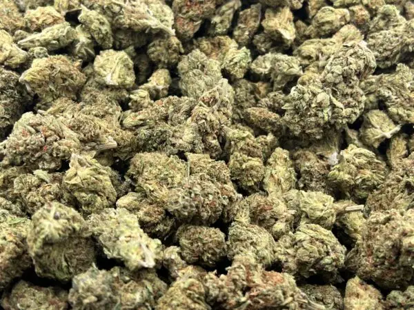 Banana Punch THCa Flower Hybrid