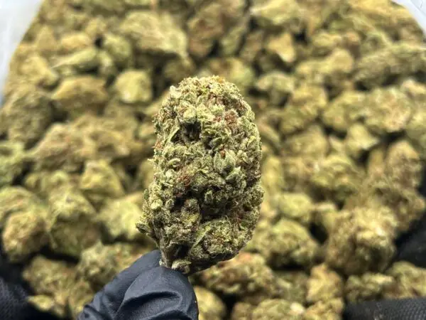 Banana Punch THCa Flower Hybrid