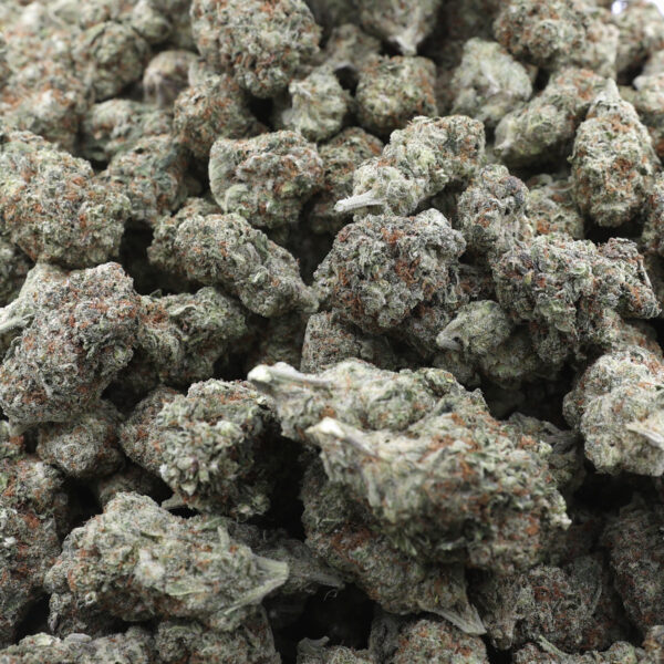 Cherry Cola THCa Flower Indica