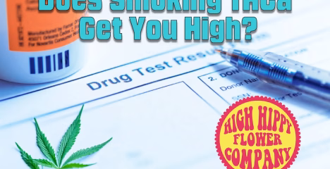 Does Smoking THCa Get You High? BLOG @ HighHippie.com