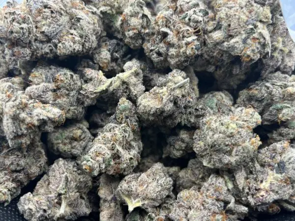 Drippin Ain't Easy - Indica Strain - THCa Flower - 37.52% - Caviar Grade