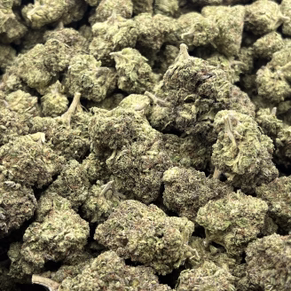 Hamma THCa Flower Indica