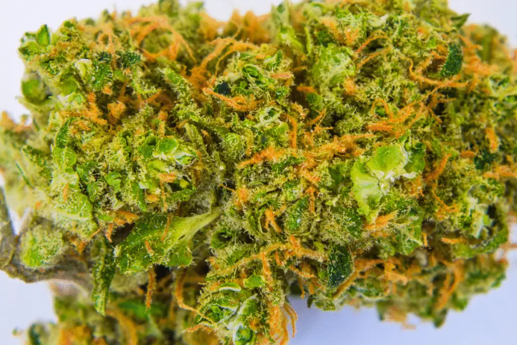 Exotic THCa Flower offers rare genetics for bright colors, dense buds, and amazing nose for incredible effects