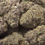 Black Patronus THCa Flower — Indica — 35.77% — Private Reserve - Image 2