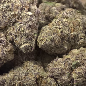 Black Patronus THCa Flower — Indica — 35.77% — Private Reserve - Image 2