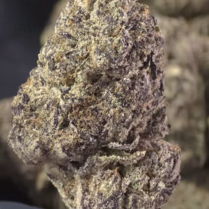 Black Patronus THCa Flower — Indica — 35.77% — Private Reserve - Image 3