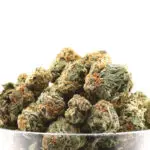 Florida Sunset Mediums THCa Hemp Flower