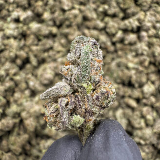 Grape Sorbet Smalls THCa Hemp Flower Exotic