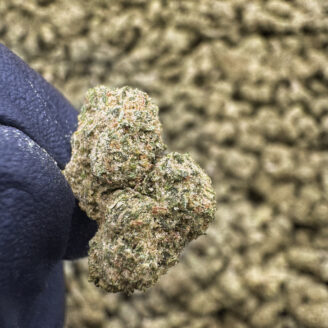 Orange Slushie (Smalls) THCa Flower Indica