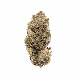 Peanut Brittle THCa Hemp Flower