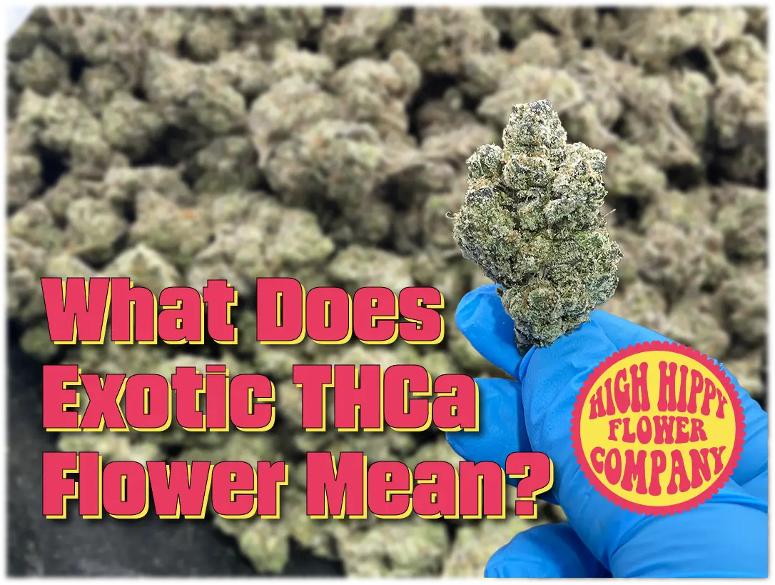 What Does Exotic THCa Flower Mean? BLOG