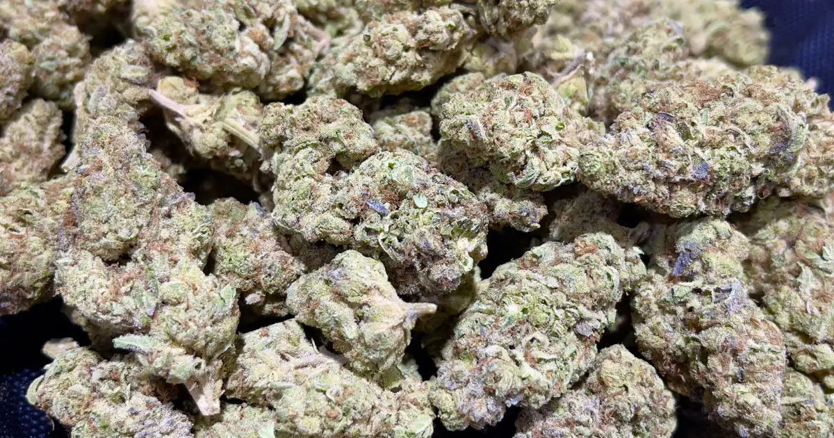 California THCa flower before the ban takes effect