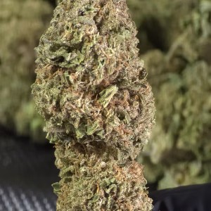 Agent Orange - 26.88% THCa - LD - Image 3