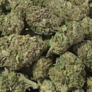 Agent Orange THCa Flower – 26.88% – Sativa – Light Dep - Image 2