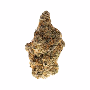 Archive Runtz THCa Flower Hybrid