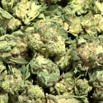 Archive Runtz — Hybrid Strain — THCa Flower (Smalls) — 31.71% — Exotic - Image 2
