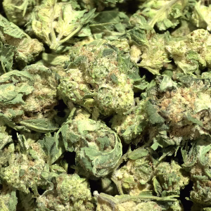 Archive Runtz — Hybrid Strain — THCa Flower (Smalls) — 31.71% — Exotic - Image 2