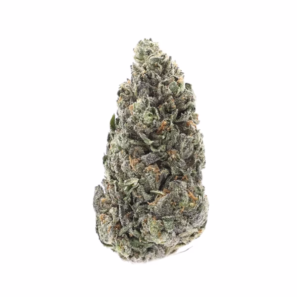 Astro Candy THCa Flower Hybrid Astro Candy THCa Flower Hybrid