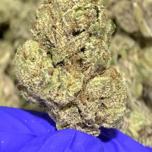 Blueberry Pancakes THCa Flower Indica