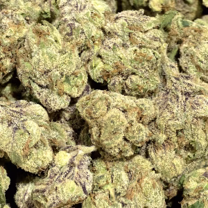 Blueberry Pancakes THCa Flower – 32.62% – Indica – Exotic - Image 2