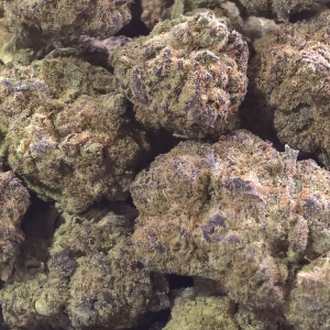 Berry Gelato THCa Flower Indica