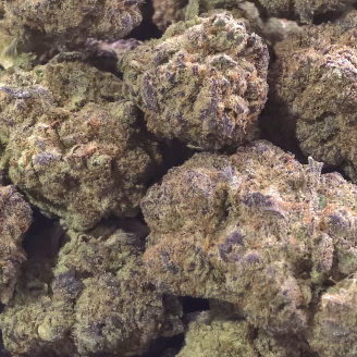 Berry Gelato THCa Flower Indica