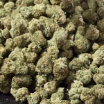 Berry Gelato (Smalls) THCa Flower – 31.04% – Indica – Exotic - Image 3