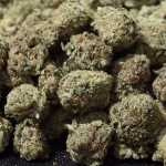 Birthday Cake THCa Flower β 25.73% β Indica β Light Dep - Image 2