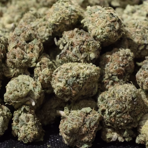 Birthday Cake - 25.73% THCa - LD - Image 2