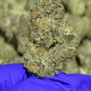 Birthday Cake THCa Flower Indica