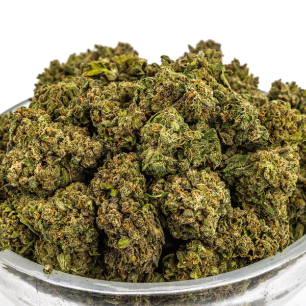 Biscotti x Jealousy Light Dep THCa Hemp Flower Biscotti x Jealousy Light Dep THCa Hemp Flower