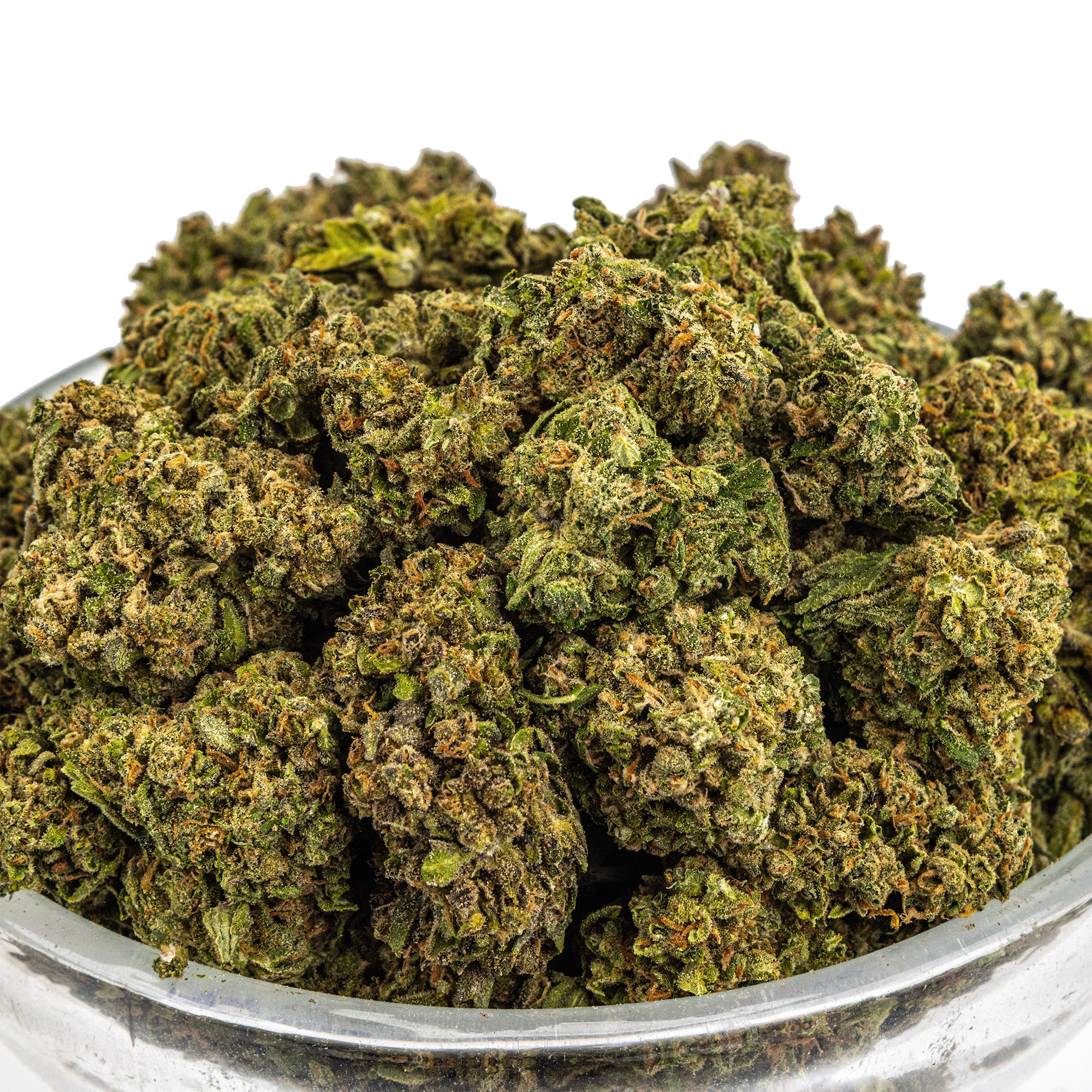 Biscotti x Jealousy THCA flower — High Hippy