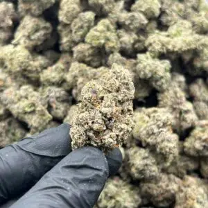 Black Jack THCa Flower – 34.16% – Indica – Private Reserve - Image 3