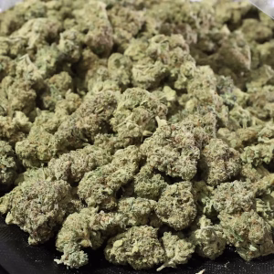 Blue Cheese THCa Flower – 29.37% – Indica – Light Dep - Image 2
