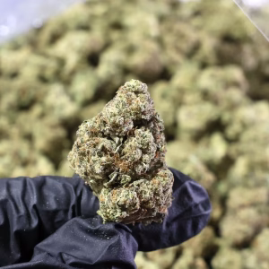 Blue Cheese THCa Flower – 29.37% – Indica – Light Dep - Image 3