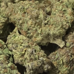 Blue Magic THCa Flower – 30.09% – Sativa – Exotic Indoor - Image 2