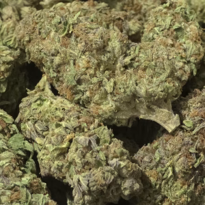 Blue Magic THCa Flower – 30.09% – Sativa – Exotic Indoor - Image 2