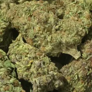 Blue Magic - 30.09% THCa - EX - Image 2