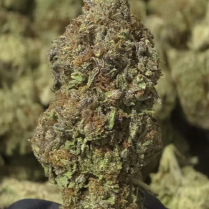Blue Magic THCa Flower Sativa