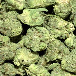 Blue Rhino #2 (Smalls) THCa Flower – 27.93% – Indica – LD - Image 2