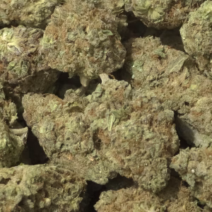 Blue Zushi THCa Flower – 31.40% – Indica – Exotic Indoor - Image 2