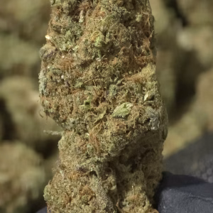Blue Zushi THCa Flower Indica