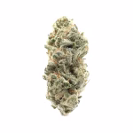 Blueberry Fuego THCa Flower Sativa