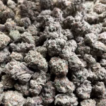 Blueberry Fuego — Sativa Strain — THCa Flower — 36.60% — Exotic - Image 2