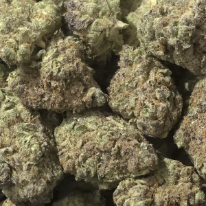 Bruiseberry Punch THCa Flower – 34.38% – Sativa – Exotic - Image 2
