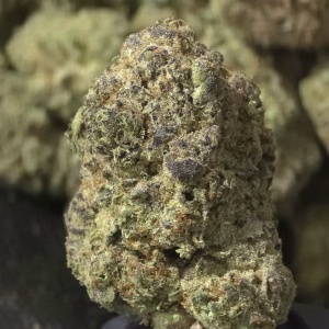 Bruiseberry Punch THCa Flower Sativa