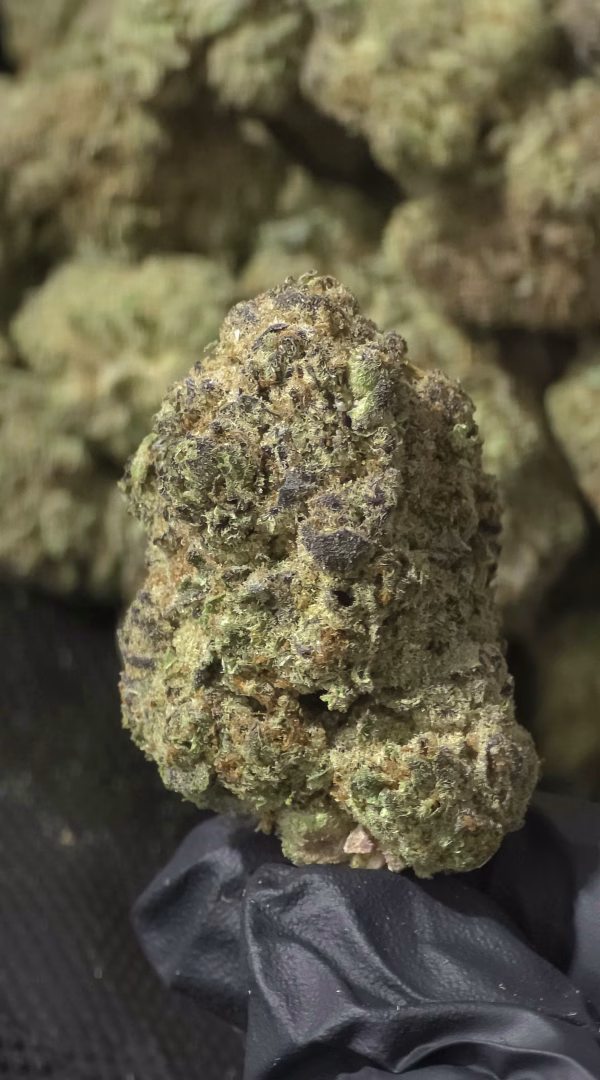 Bruiseberry Punch THCa Flower Sativa Bruiseberry Punch THCa Flower Sativa