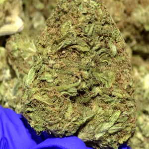 Candy Float THCa Flower Indica