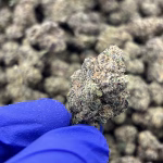 Candy Punch — Sativa Strain — THCa Flower — 33.43% — Private Reserve - Image 3
