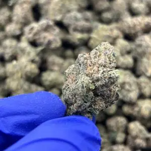 Candy Punch - 33.43% THCa - PR - Image 3